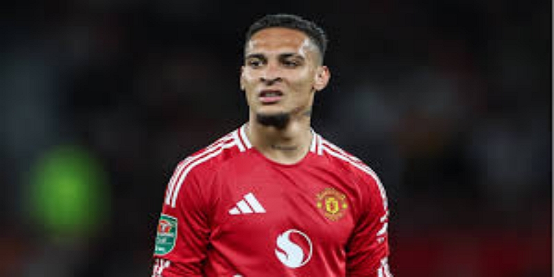 未来展望与关键时间节点-开云体育