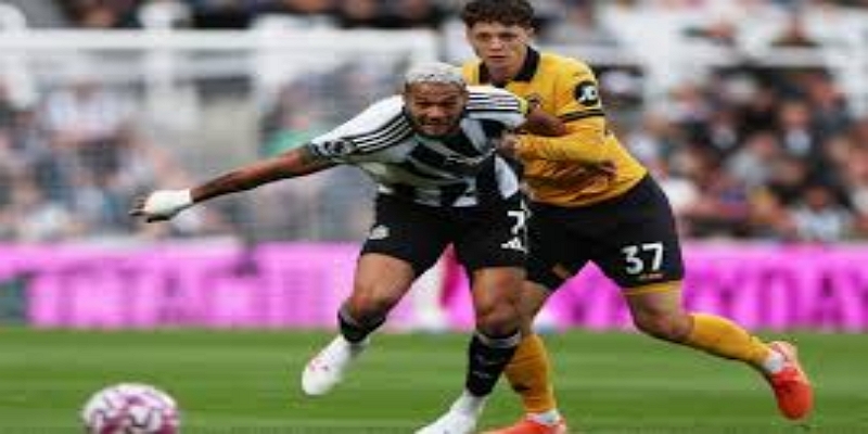 球队反应：罗布森的良苦用心与队内震荡- 开云体育