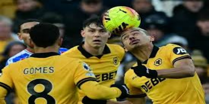 展望：狼队新赛季能否完成华丽转身？ - 开云体育