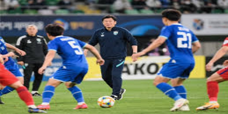 政策实施范围、例外条款及潜在经济影响- 开云体育