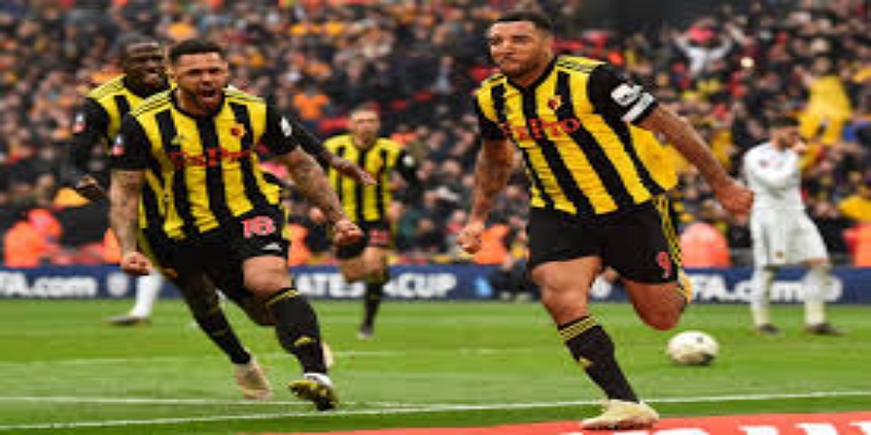 战术视角：沃特福德为何执意选择Edwards？-开云体育