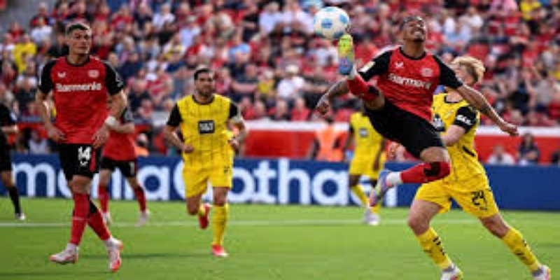 未来展望：足球世界是否真的存在因果轮回？-开云体育