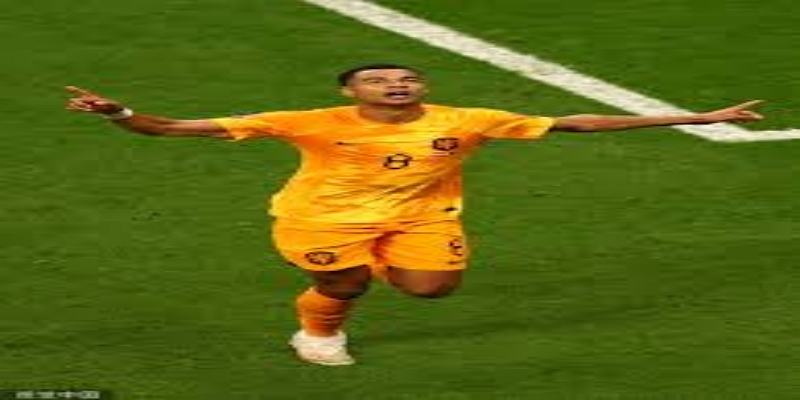 范加尔的战术布局：如何带领荷兰队走向辉煌-开云体育