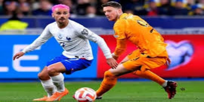 展望：法国渐入佳境  - 开云体育