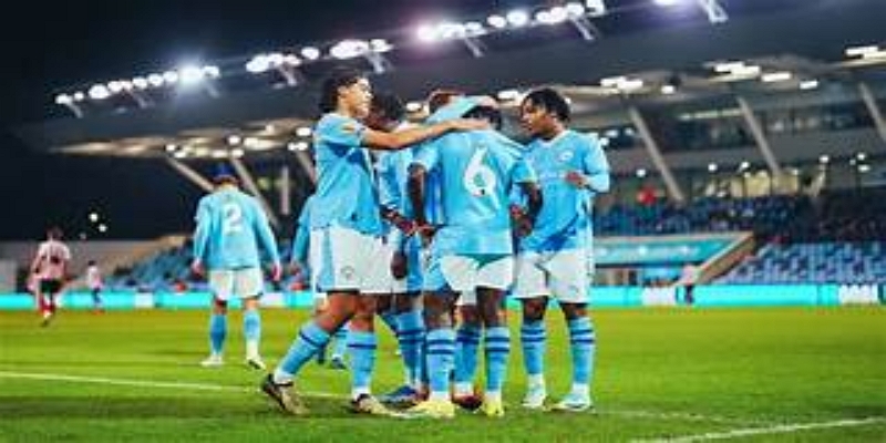 开云体育追踪：慈善基金外衣下的资金黑洞与系统性欺诈-开云体育