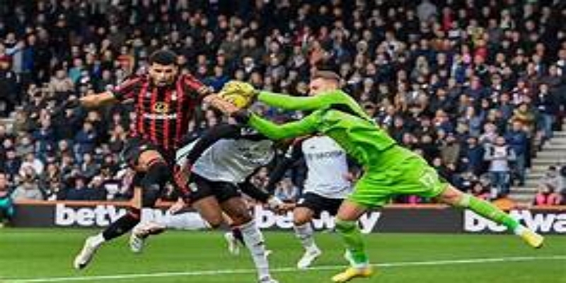 球迷观点与赛后反应-开云体育