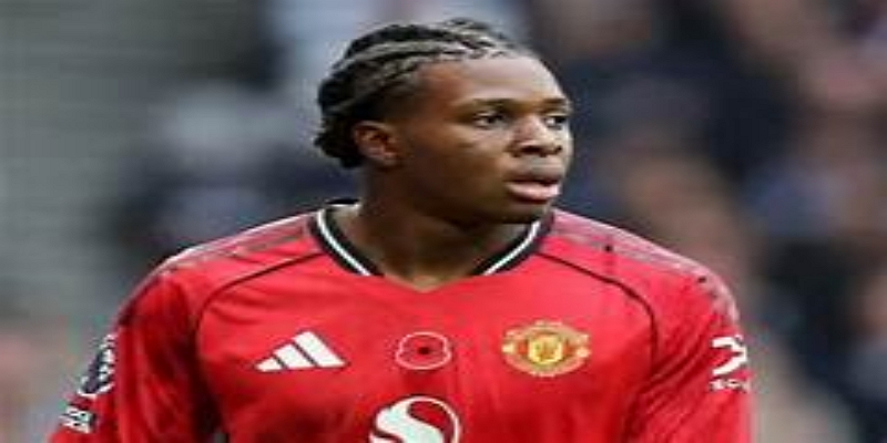 红魔左路重建计划启动—开云体育解析多尔古加盟的战略意义与开云体育模型评估-开云体育